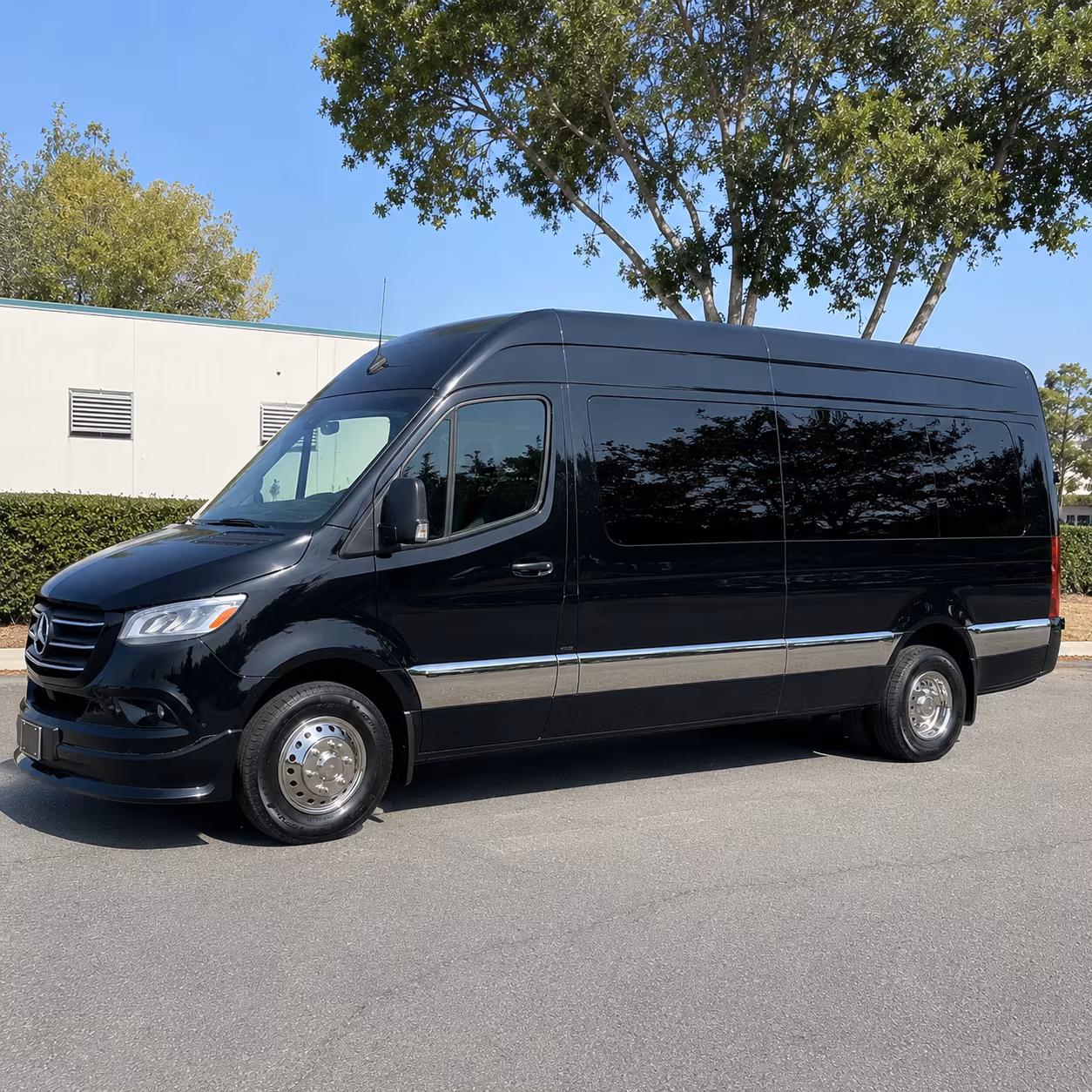 elizabeth government military transportation